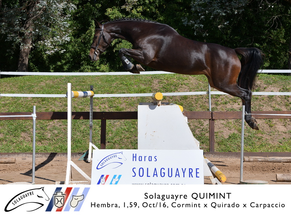 SOLAGUAYRE QUIMINT